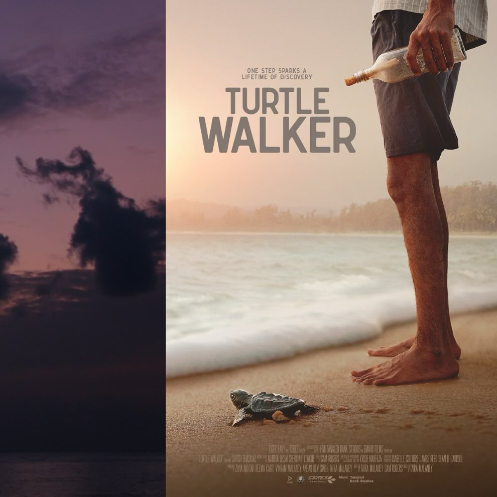 Turtle Walker, a film about conservation